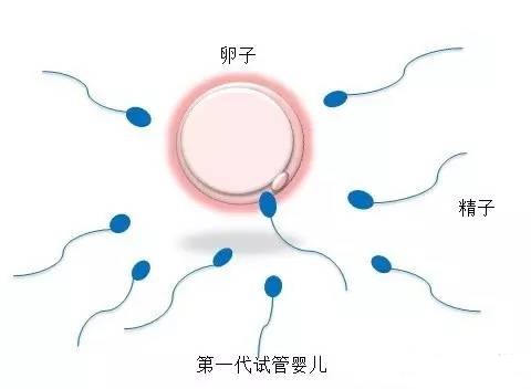 私人孕妈借卵代孕咨询微信号